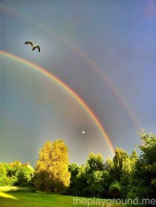 rainbow